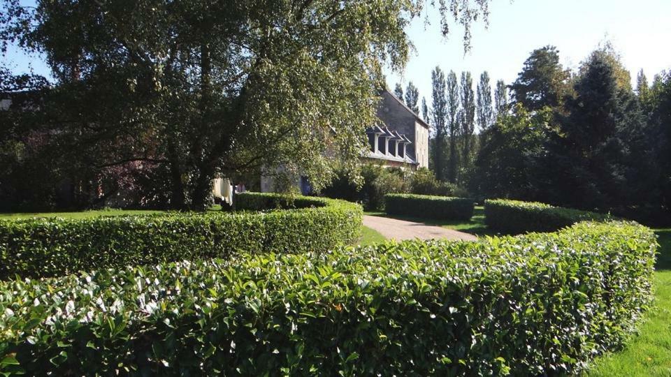 Le Moulin De Chareau Bed and Breakfast Reugny  Εξωτερικό φωτογραφία